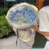 Bó hoa cẩm tú cầu xanh dương size L - YN271