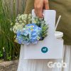 Combo Cẩm tú cầu mix Bạc sỉu - CB10