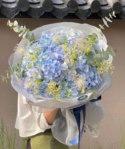 Bó cẩm tú cầu - B81