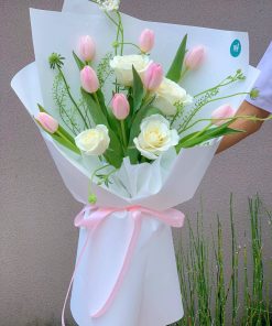 Bó tulip Hà Lan mix - T03