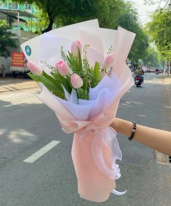 Bó tulip Hà Lan - T01