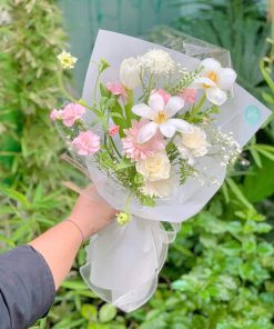 Bó tulip Hà Lan mix - T02