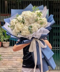 Bó cẩm tú cầu trắng - B16